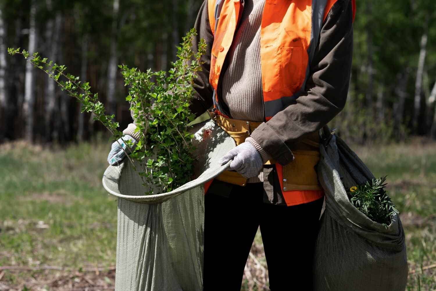 Best Best Tree Removal Services  in Gorman, NC